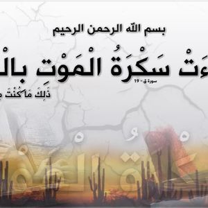 Meet your Posher, Meriem